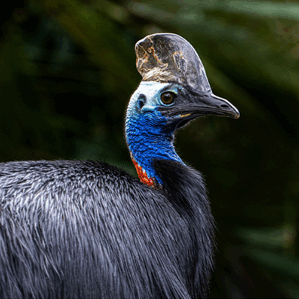 Adelaide Nature Spring Nature Navigators at Adelaide Zoo and Monarto Safari Park | Spring 2025 ...
