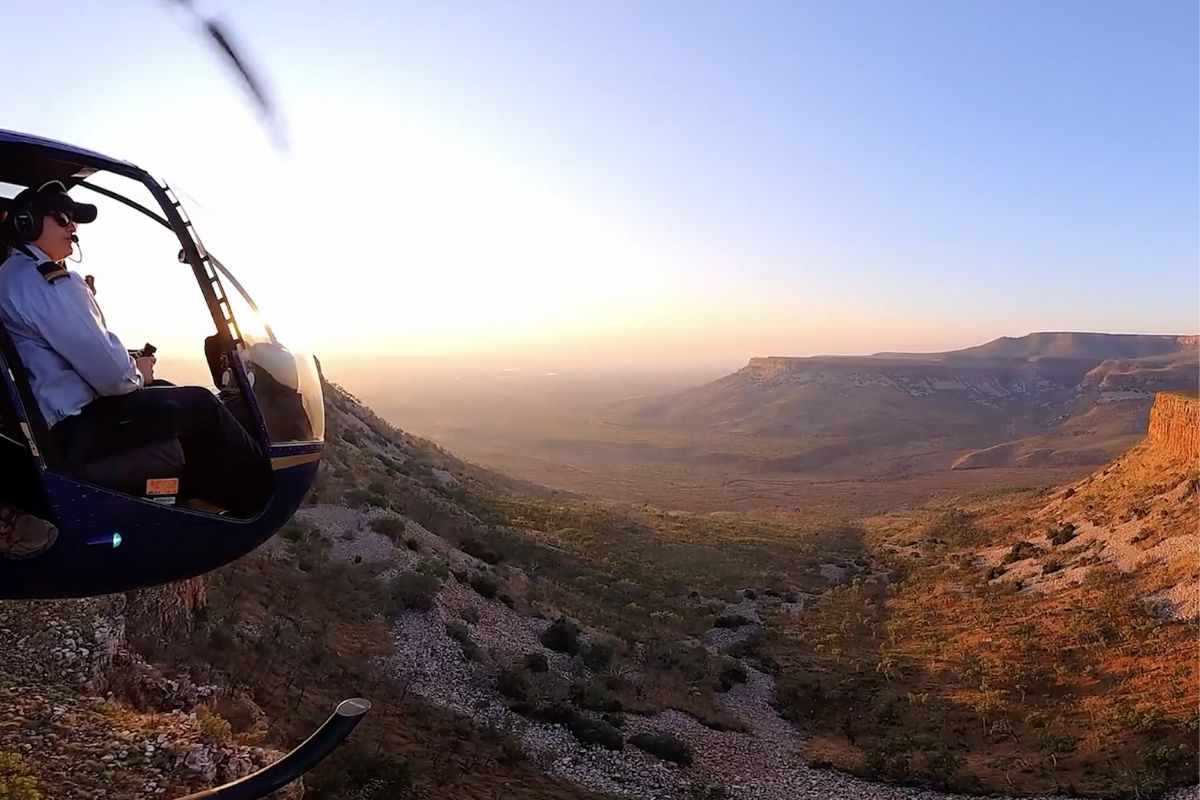 ndividuals observing a lively projection of various colorful flowers, creating a visually engaging atmosphere.