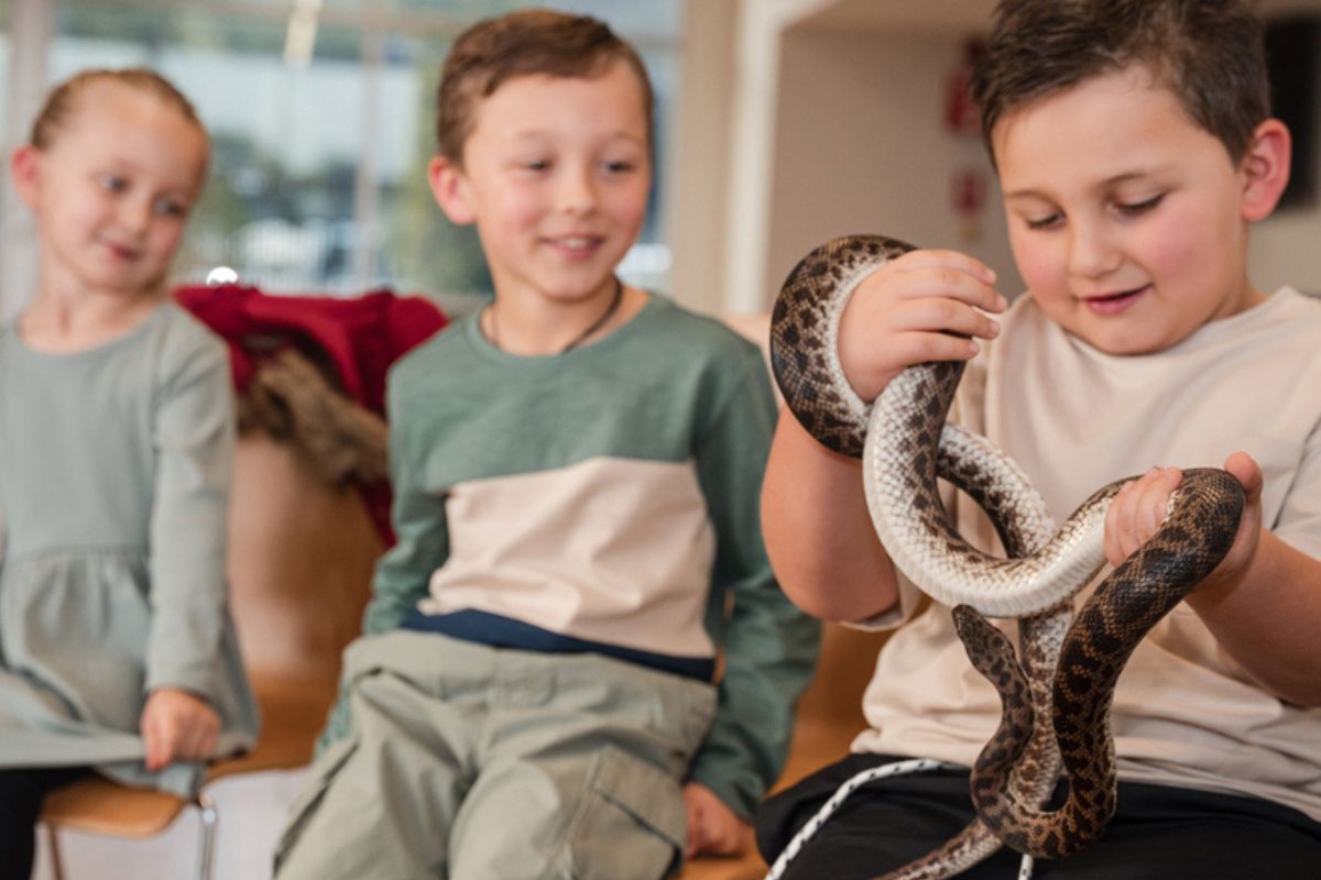 Two children are enthusiastically watching one boy holding a snake in a well-lit room, displaying a sense of wonder and adventure