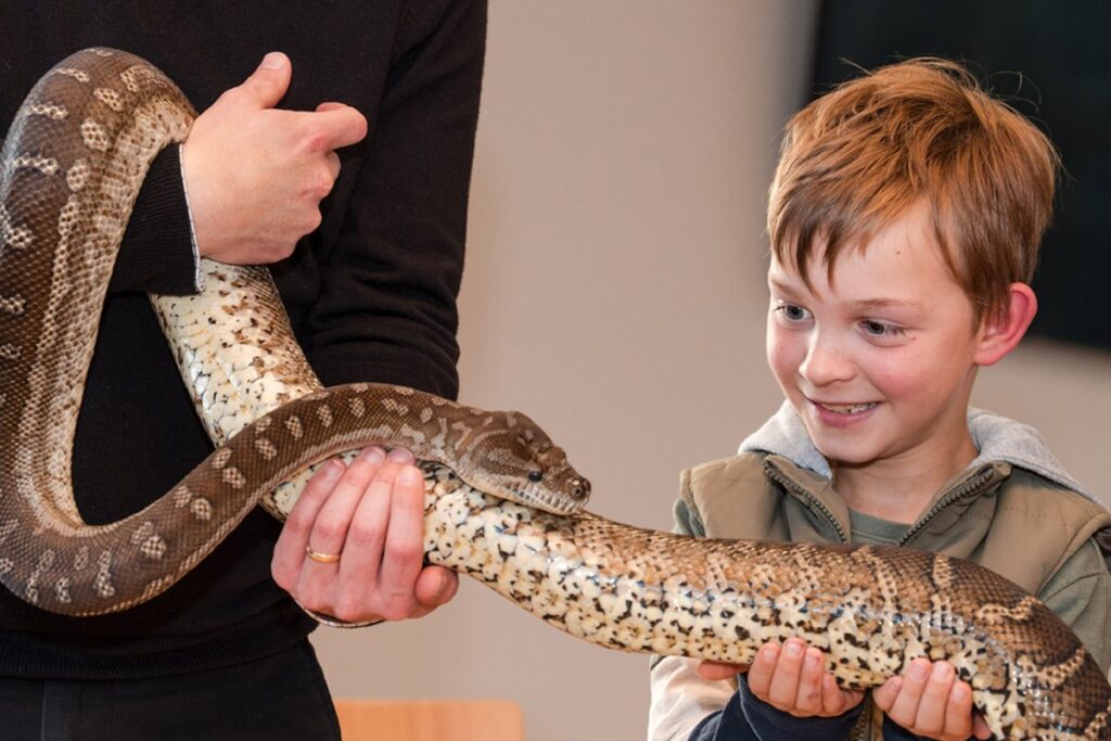 Wilburs Wildlife - boy with snake.