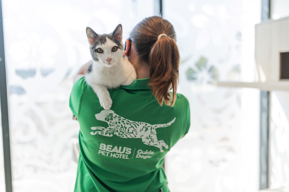 A woman in a green shirt gently holds a cat, smiling at the camera.
