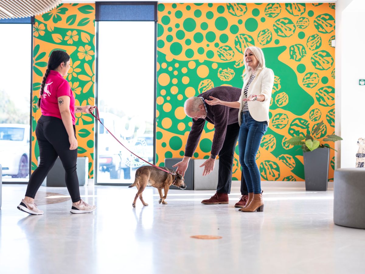 A woman and man walk a dog through Beau's Pet Hotel.