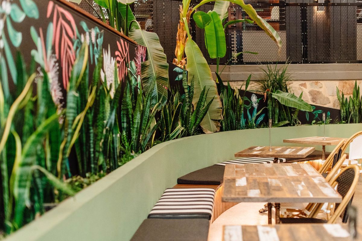 A lush and green indoor garden arrangement within a cosy cafe setting