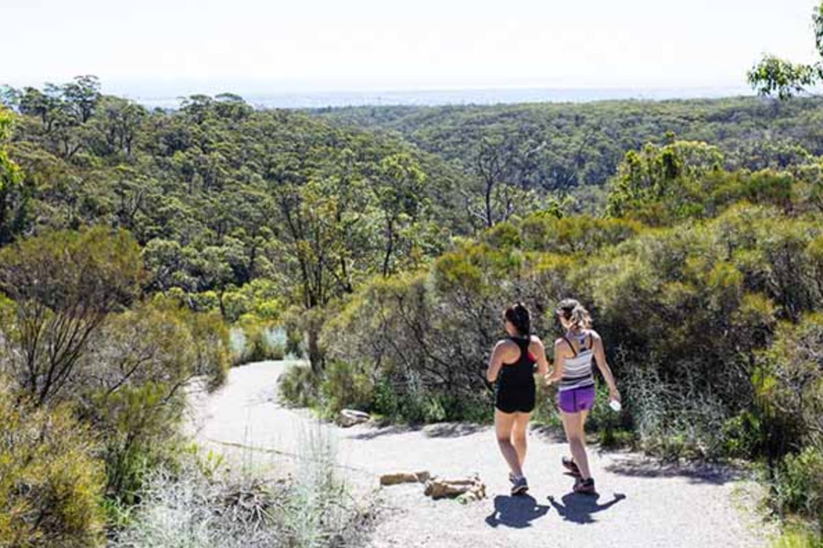 Two women walking along a bush trail, surrounded by greenery and natural scenery.