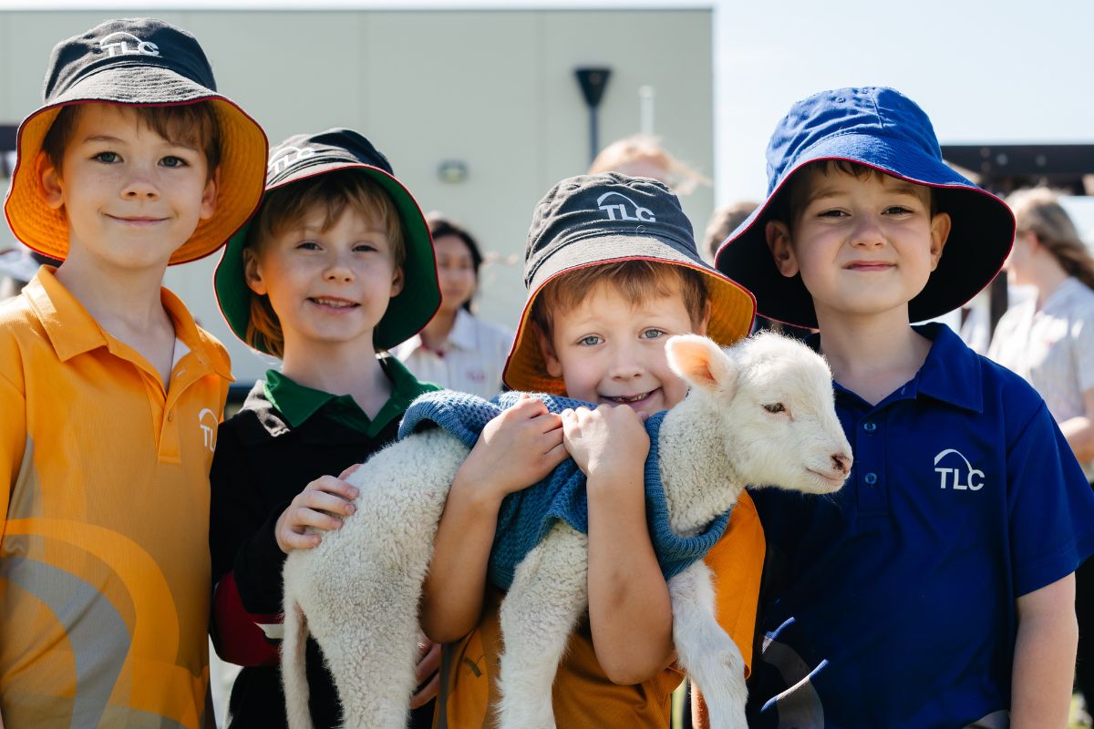 Tatachilla College Adelaide students hold a lamb in the schoolyard.