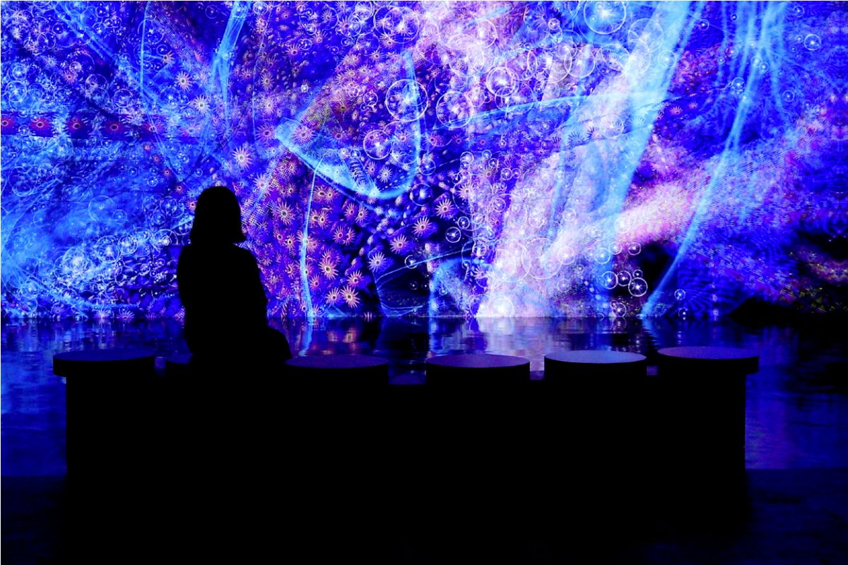 Silhouette of a visitor immersed in Digital Abyss, a vibrant underwater-inspired digital art installation at Illuminate Adelaide