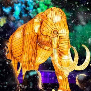 Illuminated woolly mammoth installation at Adelaide Zoo for Universal Kingdom Ice Age during Illuminate Adelaide