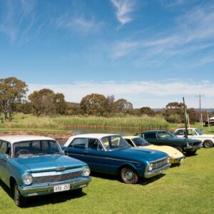 Classic vintage cars parked on lawn in McLaren Vale, South Australia.