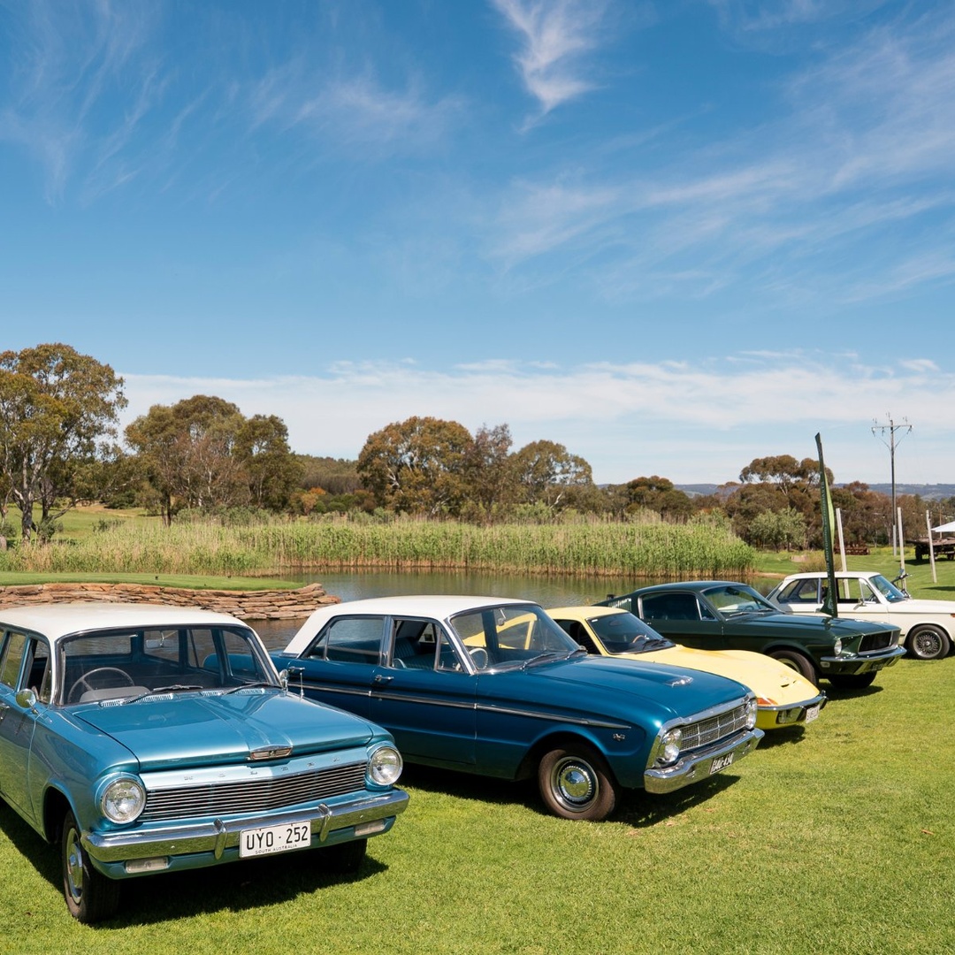 Classic vintage cars parked on lawn in McLaren Vale, South Australia.