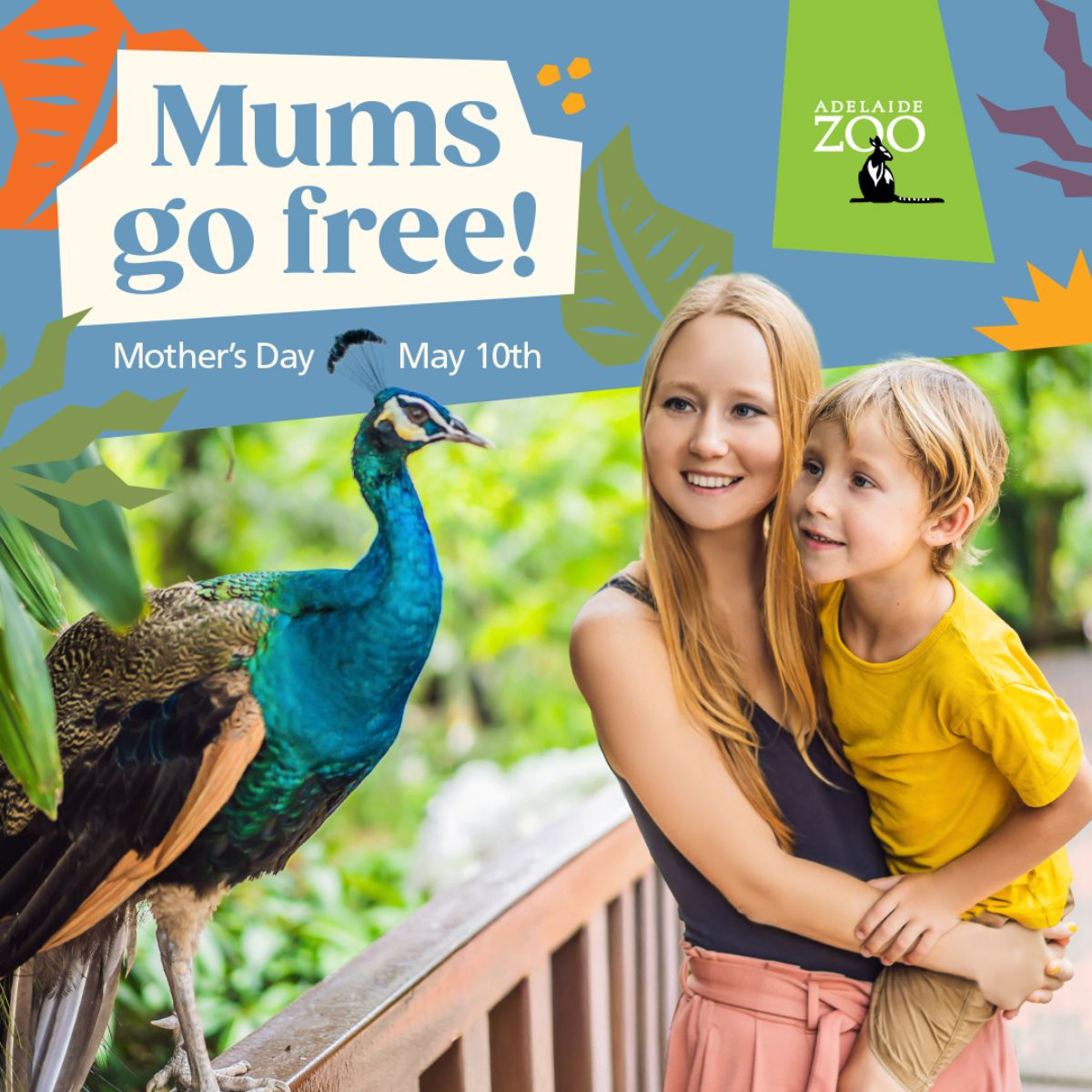 Poster for Adelaide Zoo. A mother and child get close up to a bright blue peacock in the zoo.