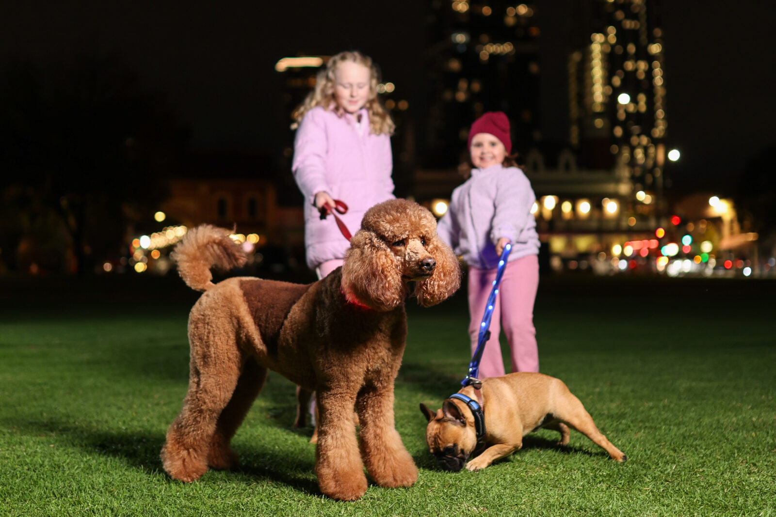 Children and dogs gathered at night under coloured lights at Illuminate Paws Walk in Adelaide'