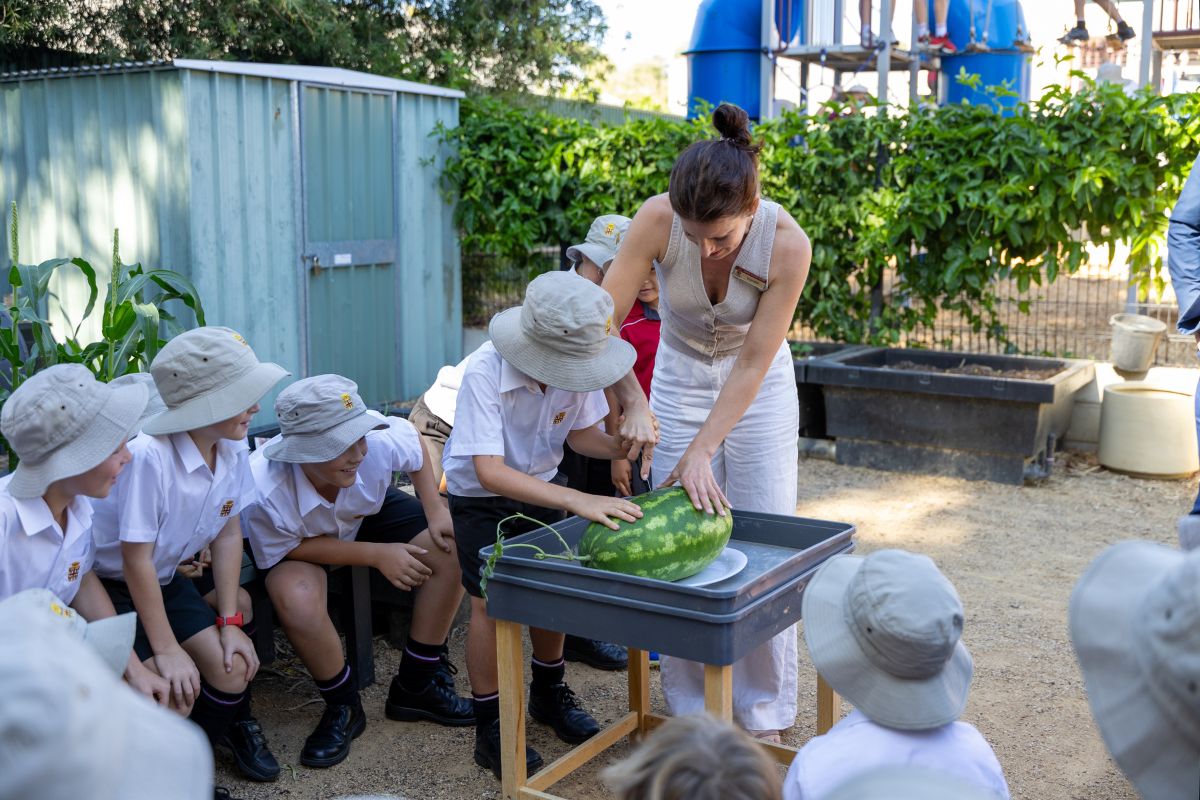 Prince Alfred College students outdoors cutting a watermelon.