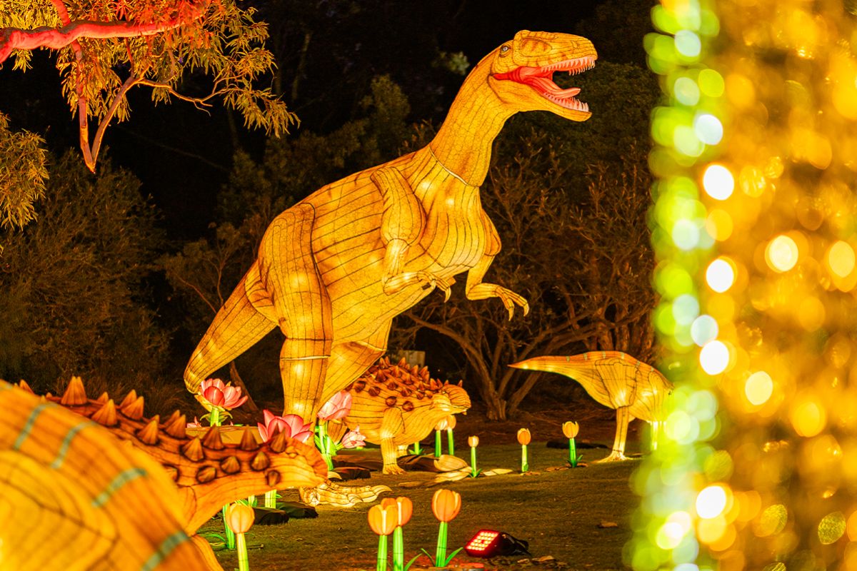 Illuminated dinosaur lantern sculptures including a large T-rex and smaller dinosaurs surrounded by glowing flower lanterns at Universal Kingdom Ice Age at Adelaide Zoo
