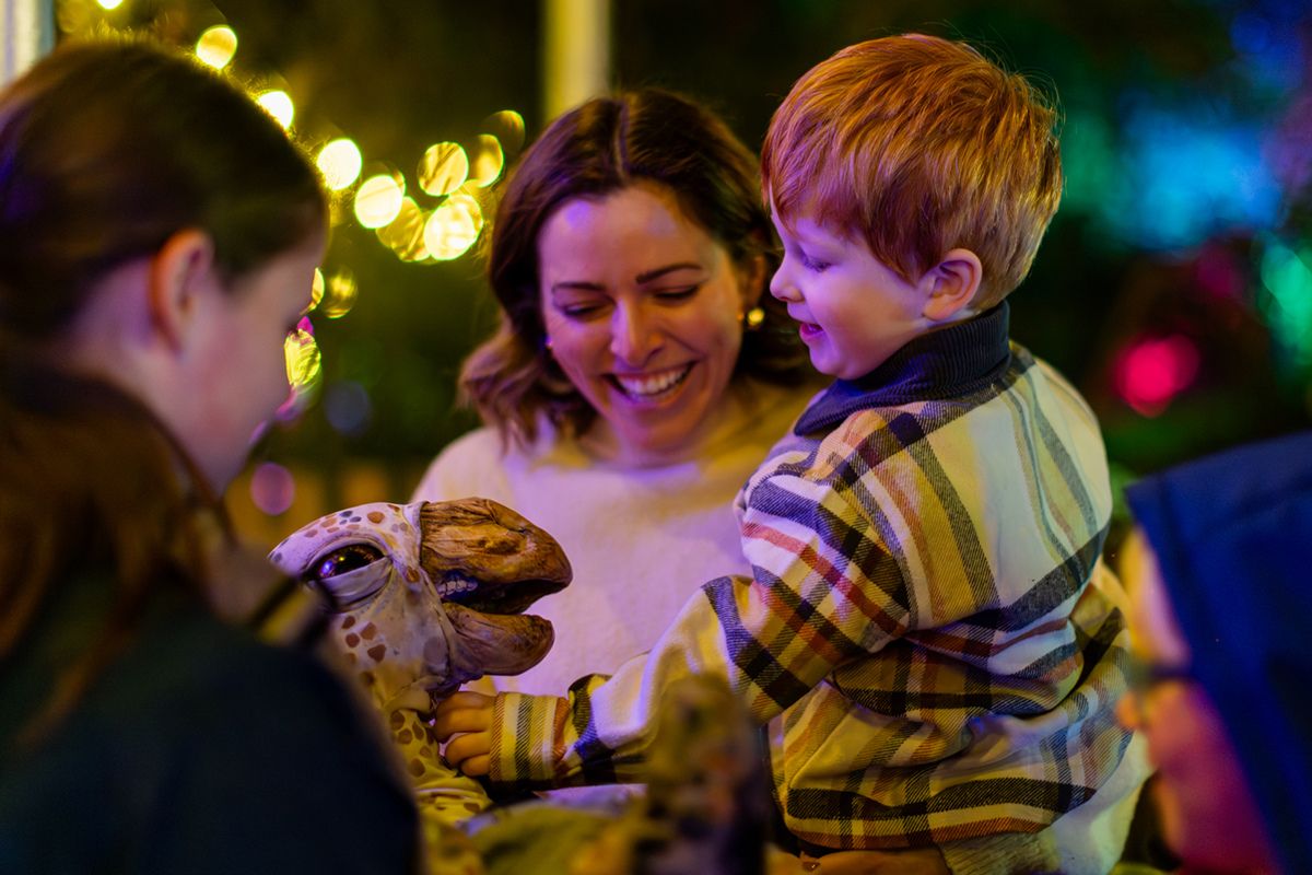 A mother holds her young child up to look at a large glowing dinosaur lantern sculpture against a backdrop of colourful lights at Universal Kingdom Ice Age at Adelaide Zoo
