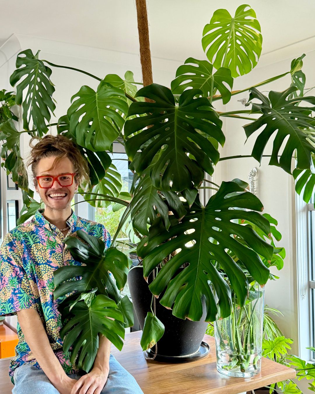 Mr Luke smiling beside his large monstera plant with sprawling leaves on a wooden table