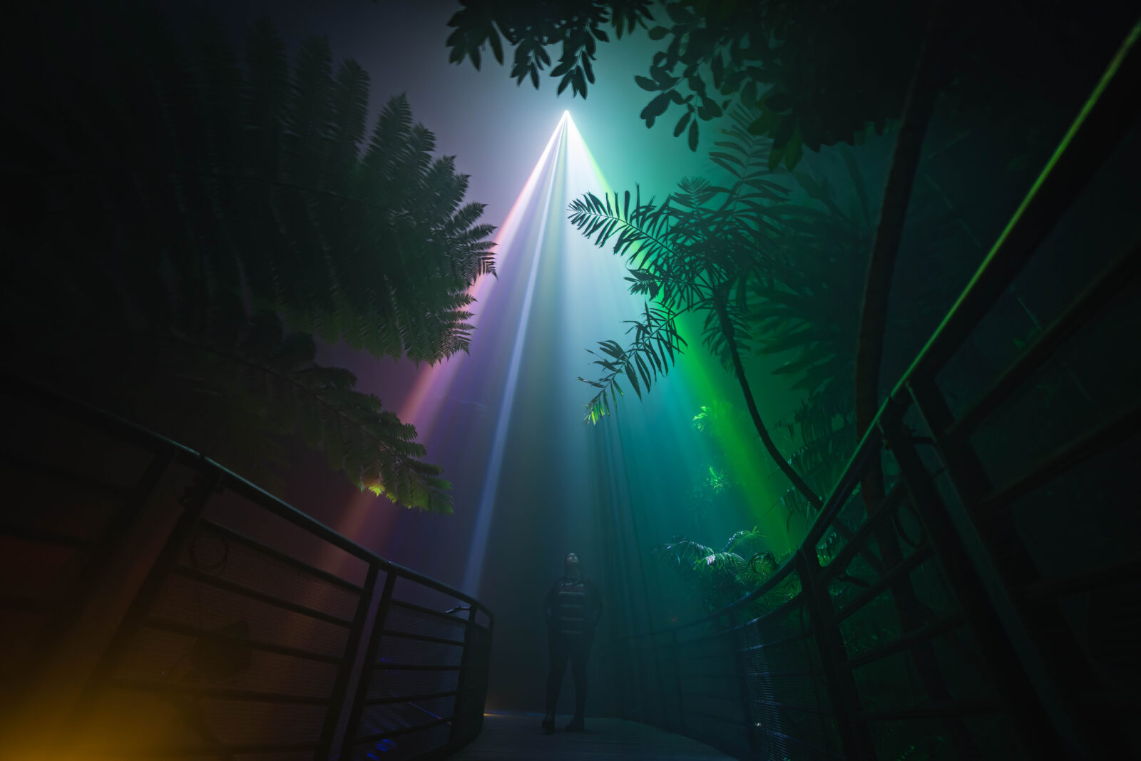 "Laser and light display in Adelaide Botanic Garden at night"