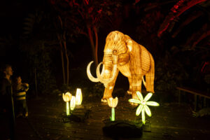 Illuminate Adelaide Universal Kingdom: Ice Age