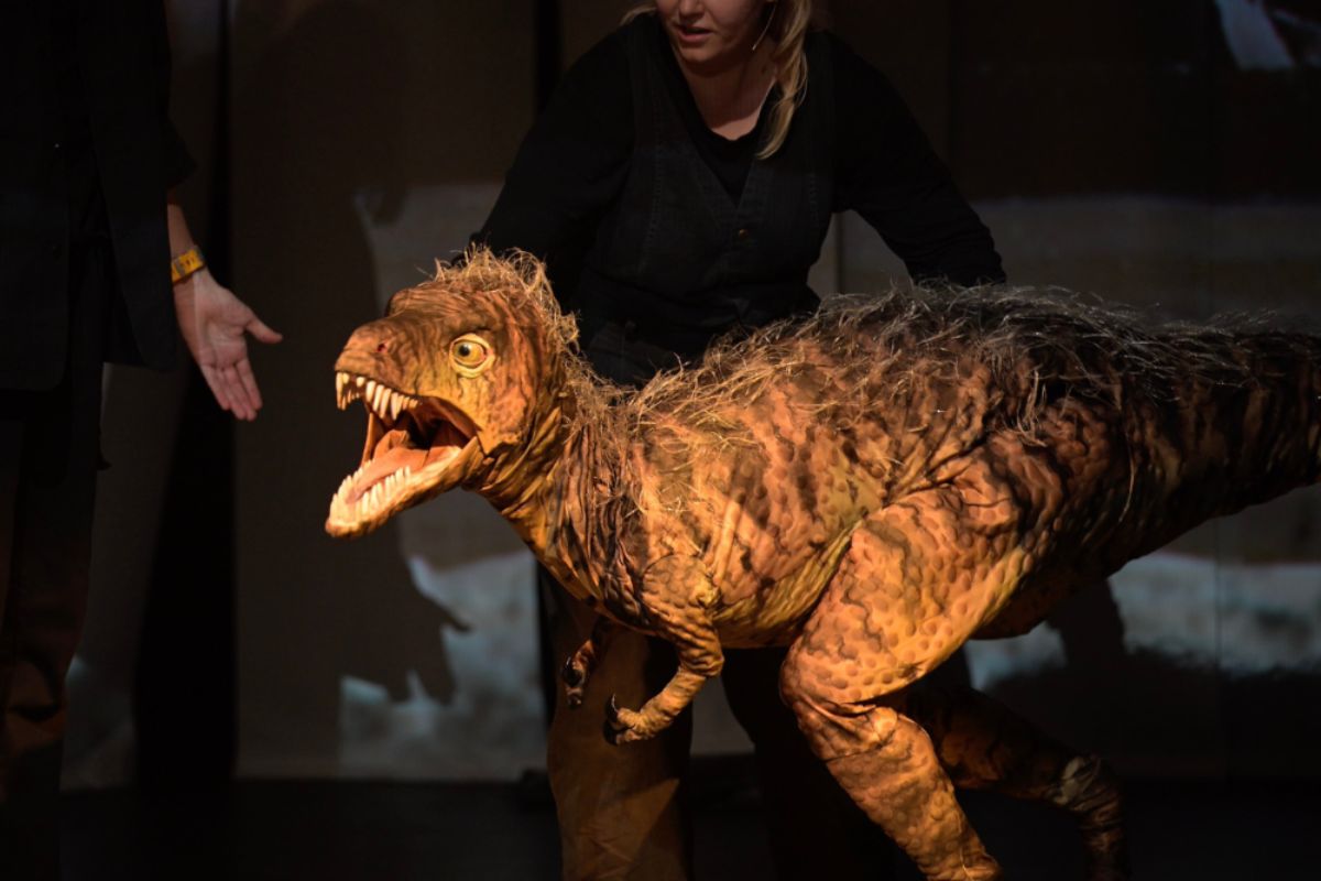 A feathered juvenile dinosaur puppet mid-stride on stage in Erth's Dinosaurs