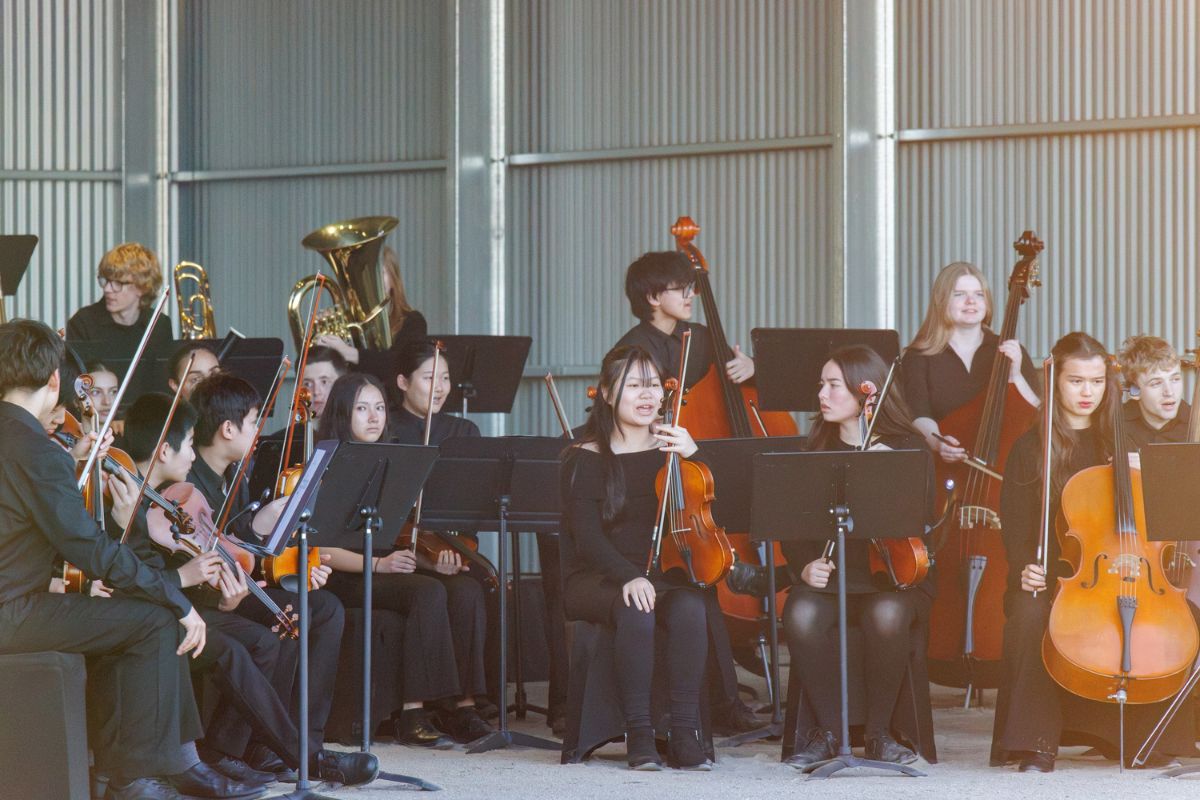Young musicians from Adelaide Youth Orchestras performing with string and brass instruments