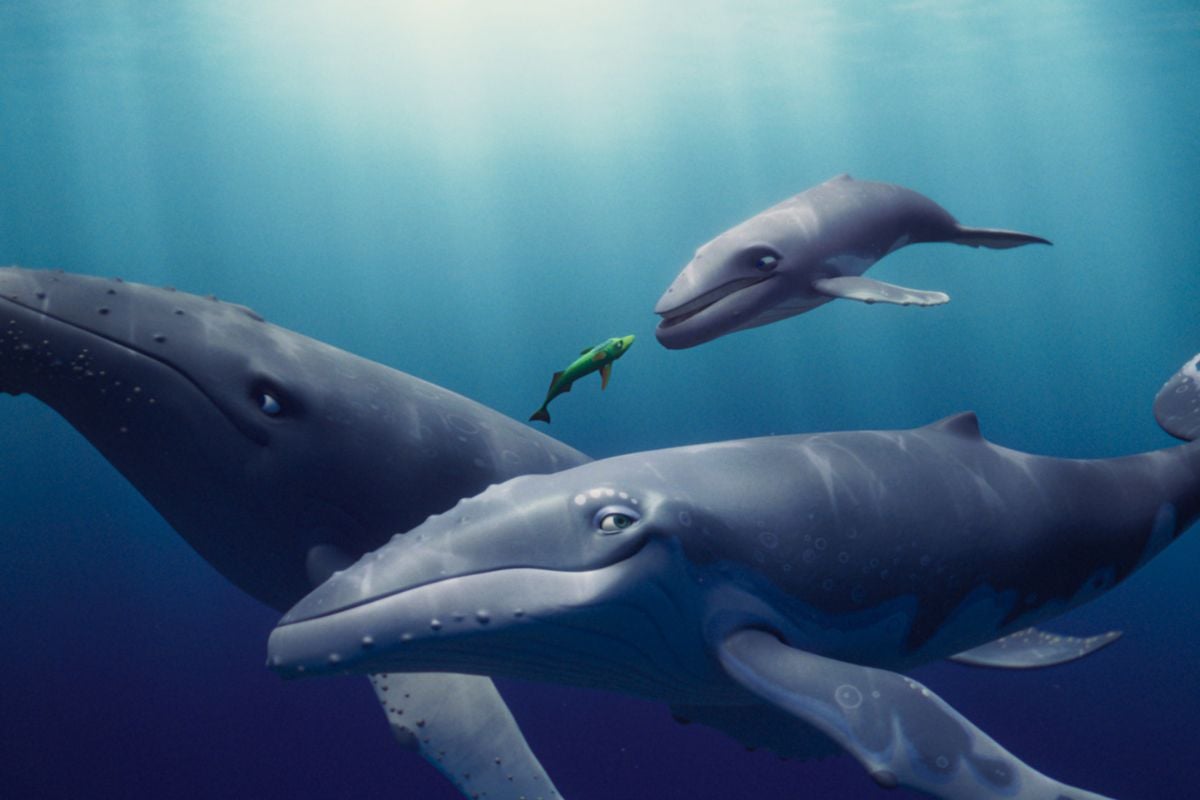 whale-singer1200x800