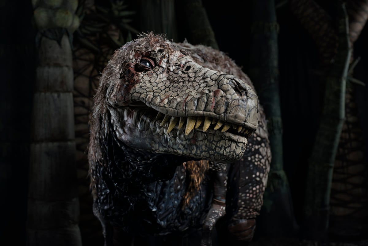 Trex#2 CREDIT David Collins (1)
