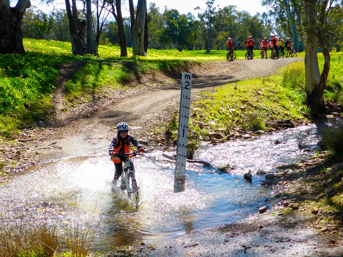 Kids mountain biking through forest trails on a treasure hunt adventure