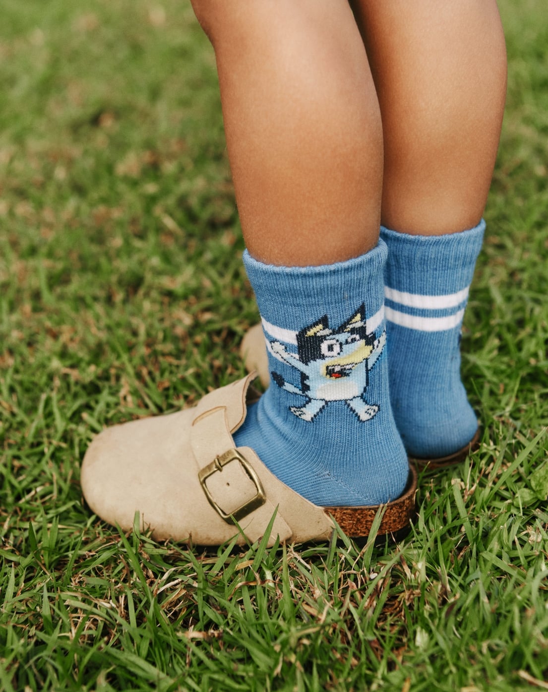 bluey-bonds-socks