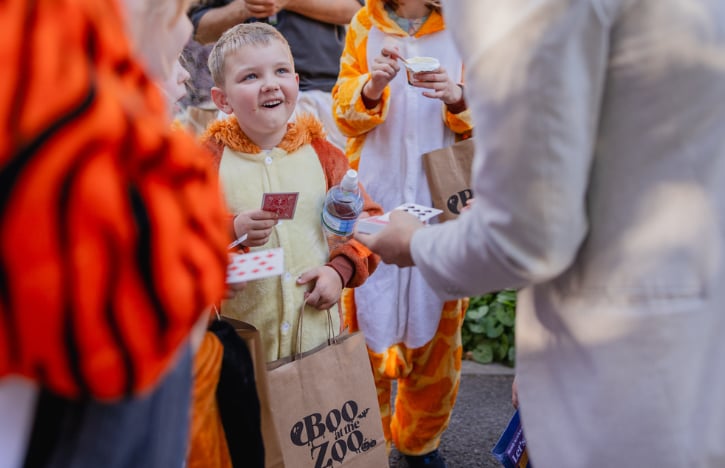 Families enjoying Halloween activities at Boo at the Zoo