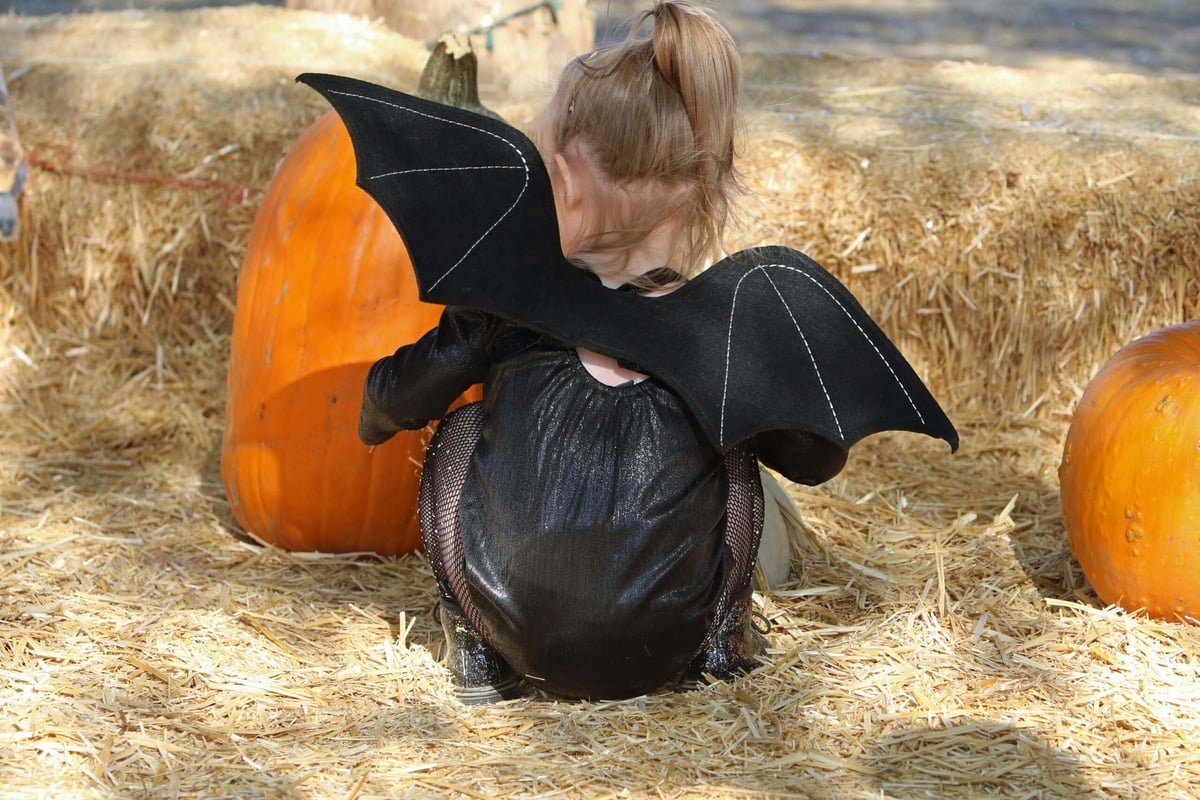 trick-or-treat-streets-adelaide